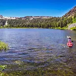 Mammoth Pines 11